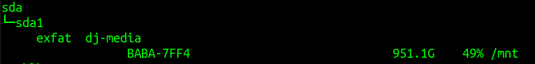 screenshot of terminal window showing SSD space