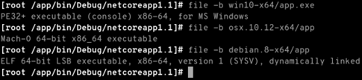 dotnet publish screenshot