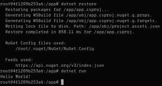dotnet restore run