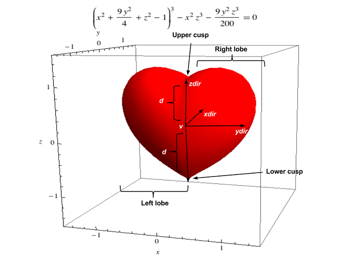 Heart-shaped primitive