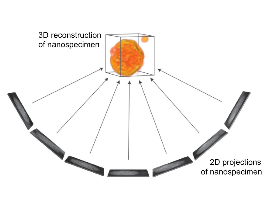 Electron tomography graph Electron tomography graph