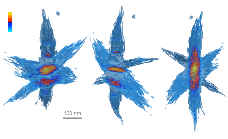 hyperbranched nanoparticle hyperbranched nanoparticle