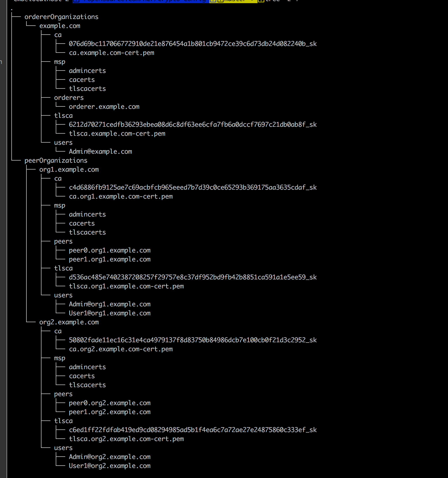 Cryto-config Channel artifacts.png Cryto-config Channel artifacts.png