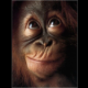 User profile image.