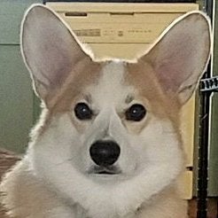 User profile image.