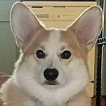 User profile image.