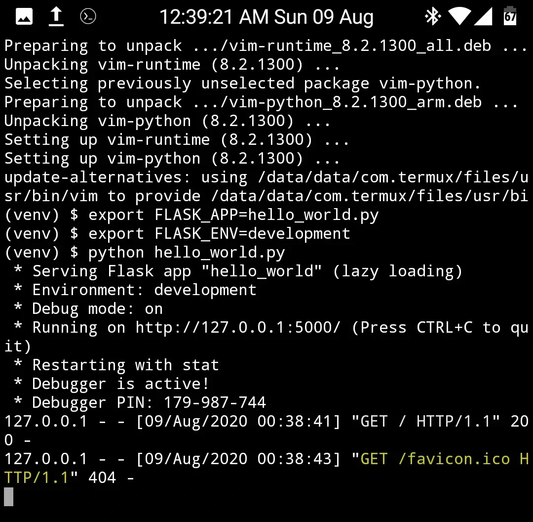 Running a Flask app on your phone Running a Flask app on your phone