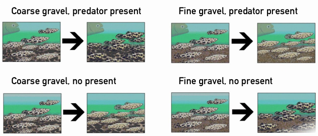Environmental pressures on fish Environmental pressures on fish