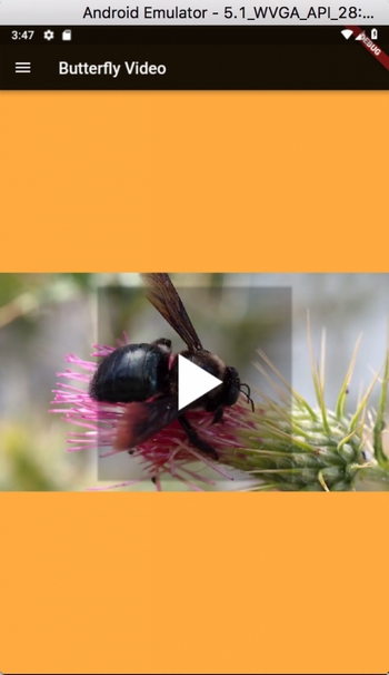 Flutter Video Plugin Flutter Video Plugin