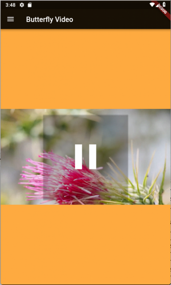 Flutter Video Plugin Flutter Video Plugin