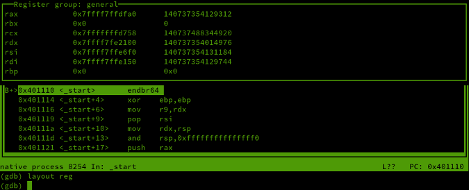 layout asm and layout reg output layout asm and layout reg output