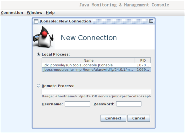 new connection jconsole new connection screen with local processes