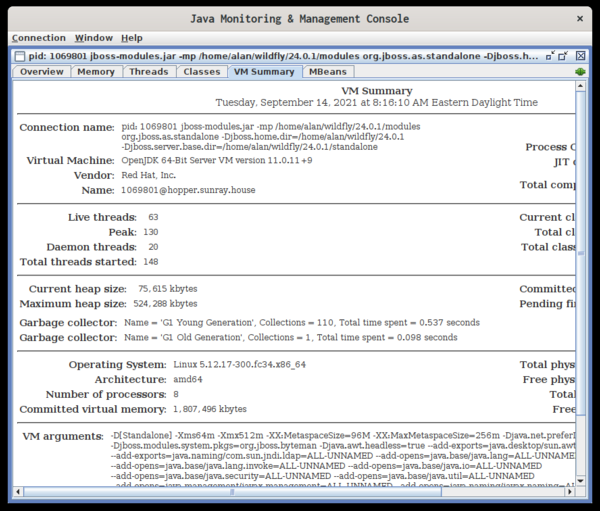 VMsummary tab jconsole VMsummary tab