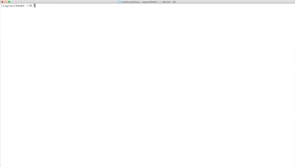 Animation of updating Linux