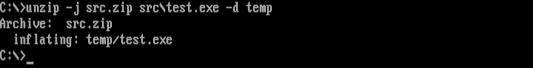 Combining options with unzip unzip -j
